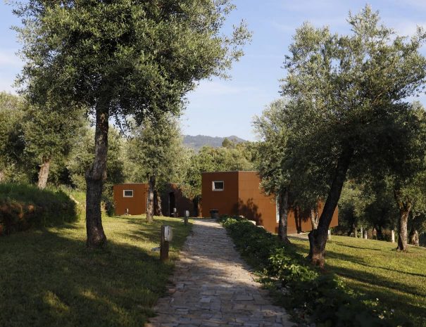 ternaldo_outdoor_6