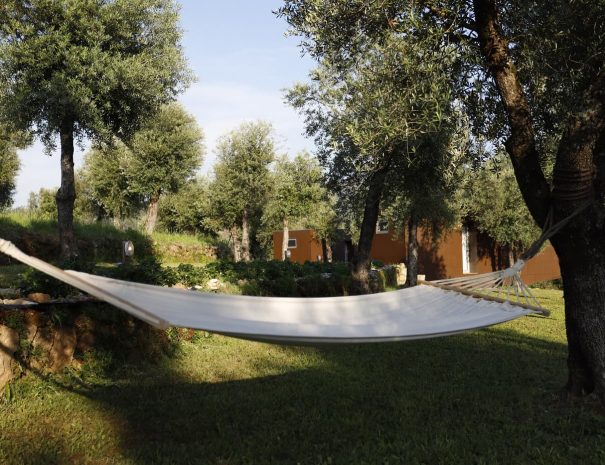 ternaldo_outdoor_9